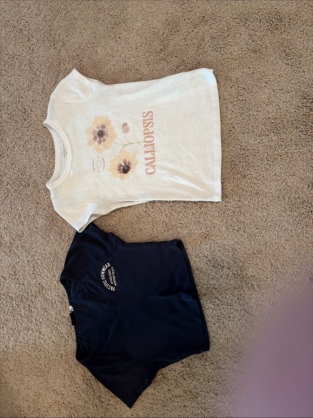 PacSun White Ribbed Floral Calliopsis Crop Top
